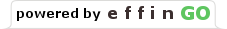 www.effingo.cl